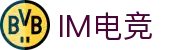 IM(股份有限公司)电竞-电子竞技平台